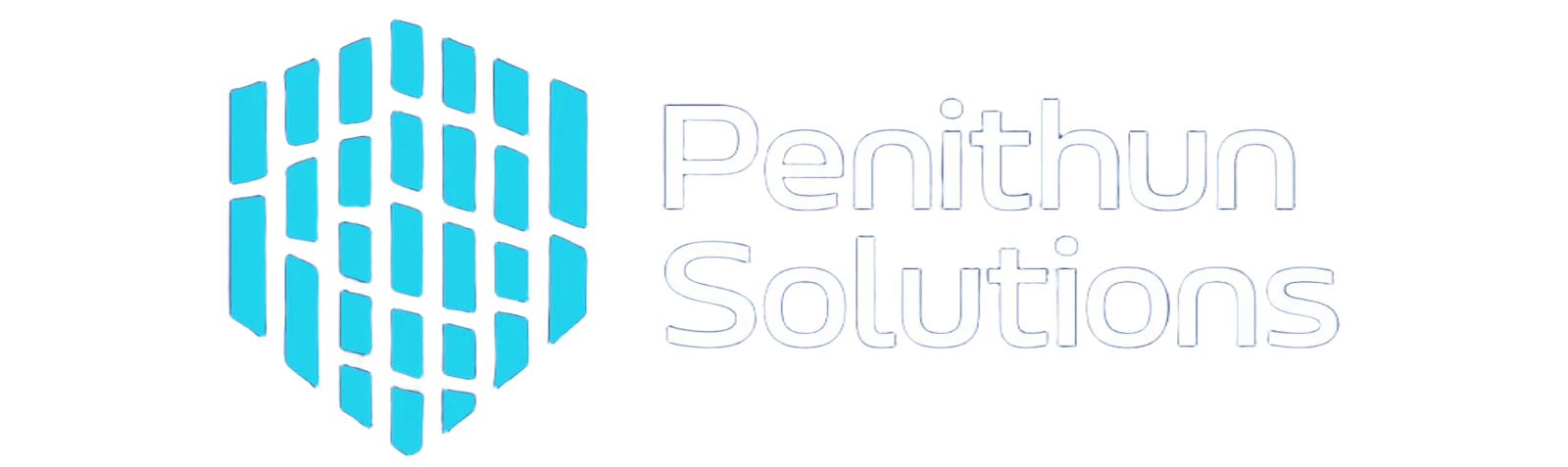 Penithun Solutions